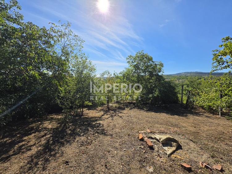 Teren Construcții intravilan de 5051 mp, în Borhanci