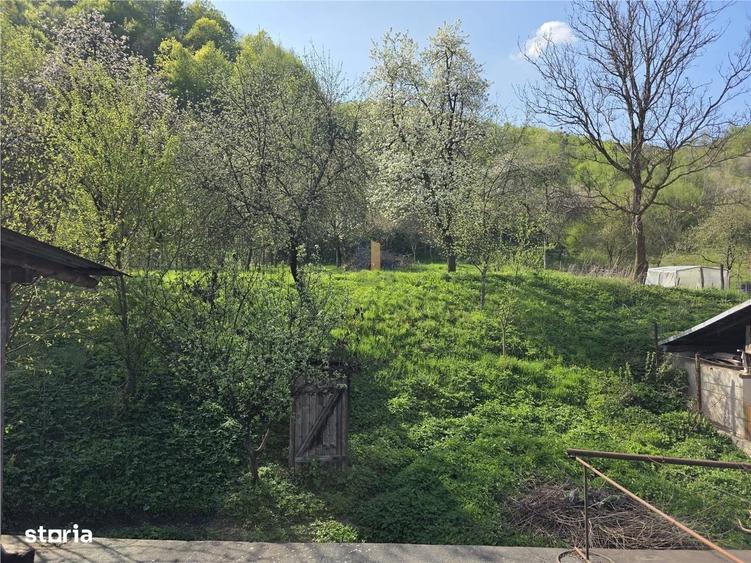 Casă cu 3 camere cu Teren 3748 Mp în Nădrag