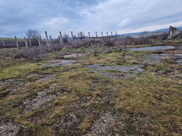 Teren de 15000 mp, în Cămărașu