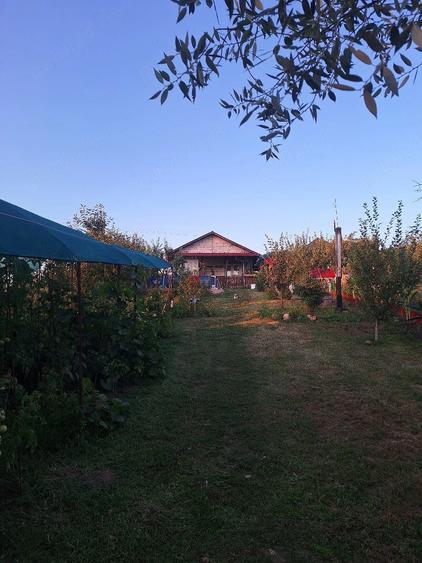 Casă cu Teren 601 Mp în Comana