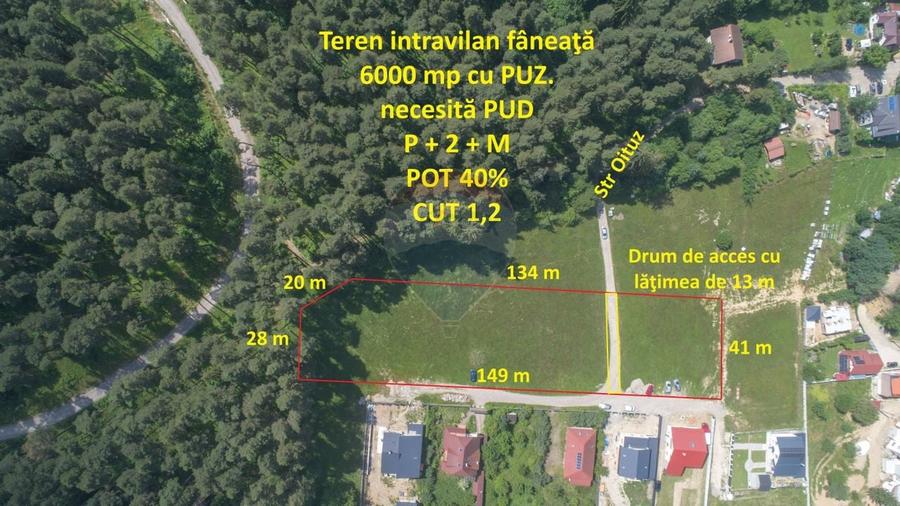Teren Construcții intravilan de 6000 mp, în Poiana Angelescu