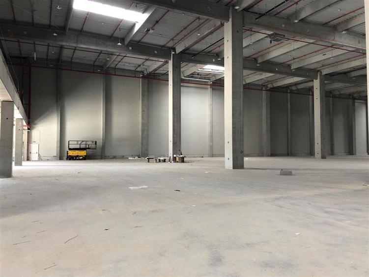 Spațiu industrial, de 5,750 mp, în Ciorogârla