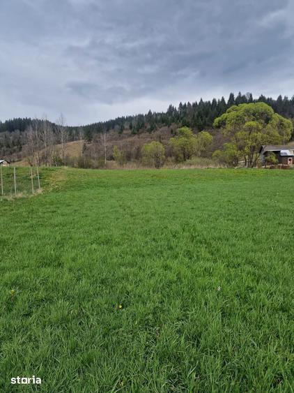 Teren de 7173 mp, în Vatra Moldoviței