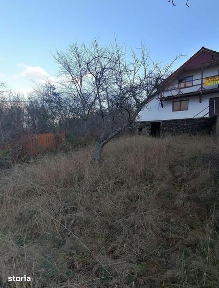 Casă cu 3 camere cu Teren 379 Mp în Central