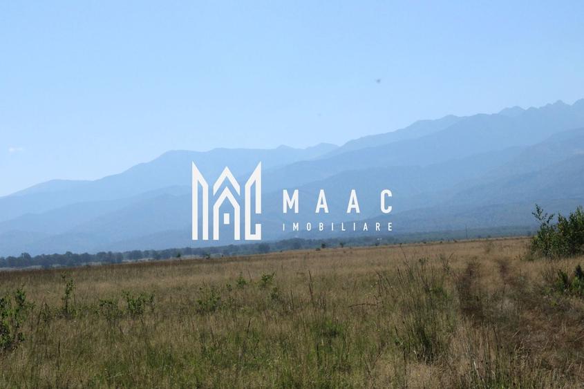 Teren agricol extravilan de 3900 mp, în Arpașu de Sus