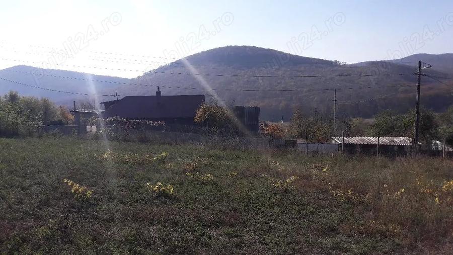 Teren de 1500 mp, în Telița