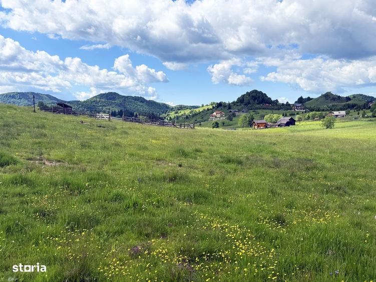 Teren 1425 mp, sat Sinea, zona Bran Moieciu - 4