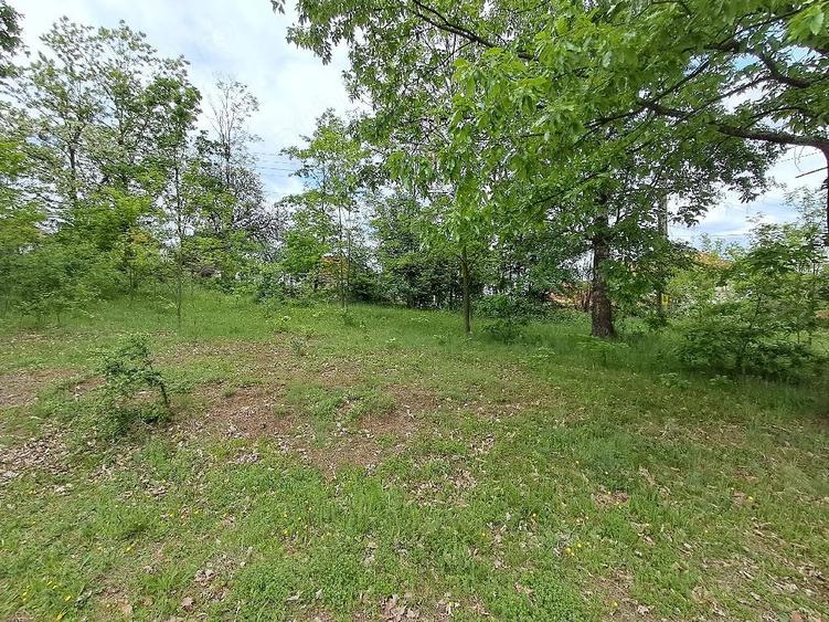 Teren de 2800 mp, în Periferie