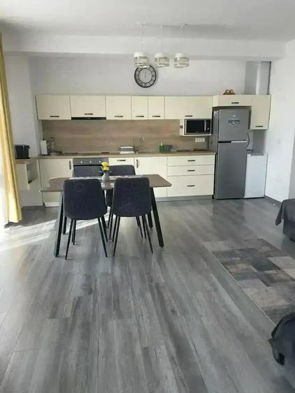 Apartament cu 2 camere decomandat în Băile Felix
