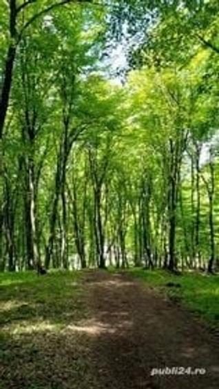 Teren de 8600 mp, în Popești