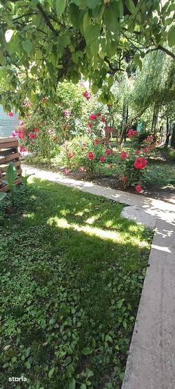 Apartament doua camere/padurea Andronache - 15