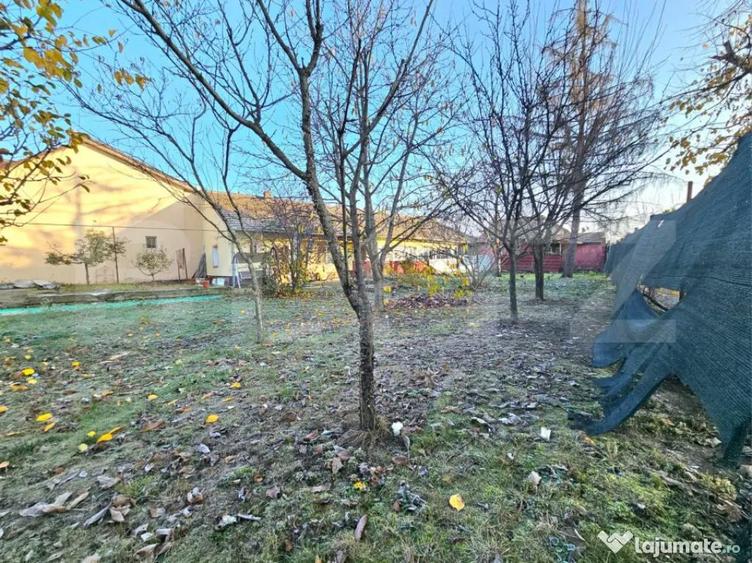 Teren Intravilan + Casa, 2 fronturi, Calea Bogdanesti - 2