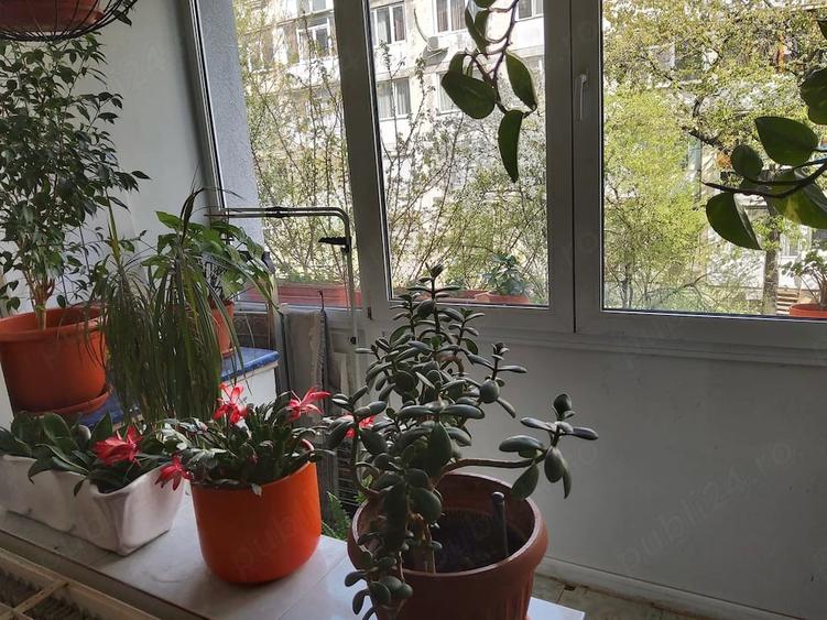 Apartament cu 3 camere decomandat în Giurgiului