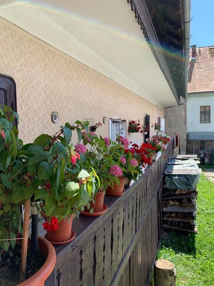 Casă cu 3 camere în Abrud