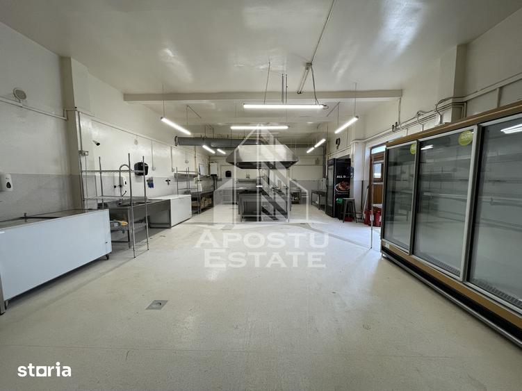 Spațiu comercial, de 135 mp, în Elisabetin