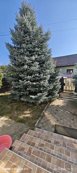 Casă cu 3 camere decomandat în Cristești