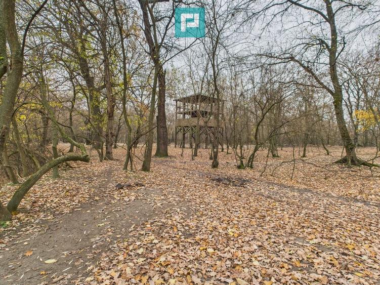 Teren extravilan de 5000 mp, în Periam