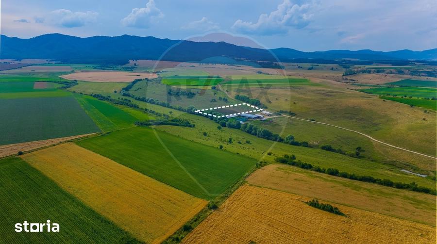 Oportunitate pentru fermieri: 10.800 mp teren arabil in Rotbav, Bra?ov - 6