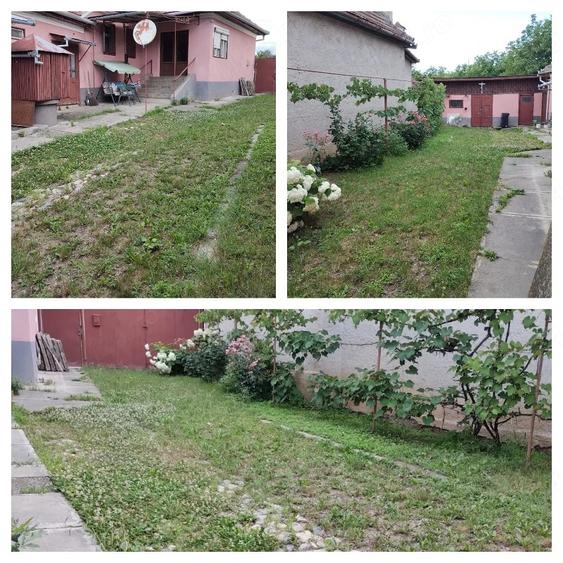 Casă cu 3 camere cu Teren 1106 Mp în Central