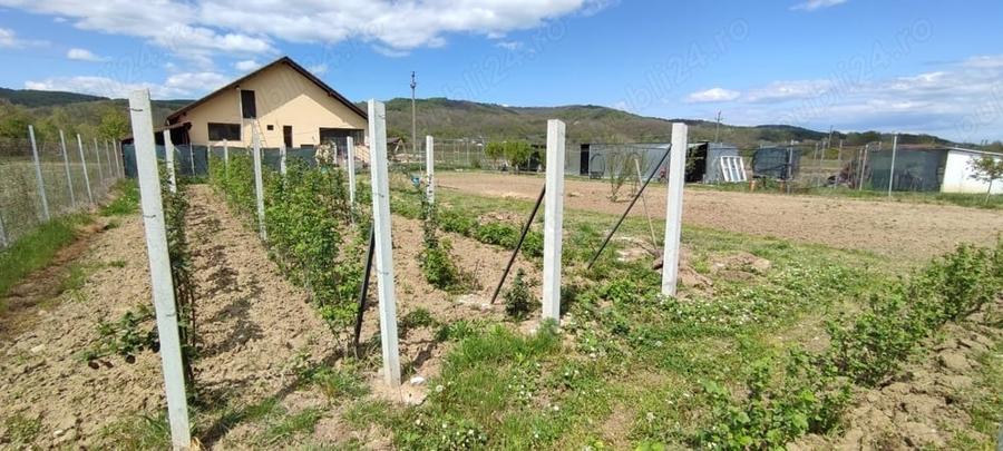 Casă cu 4 camere cu Teren 2000 Mp în Predești