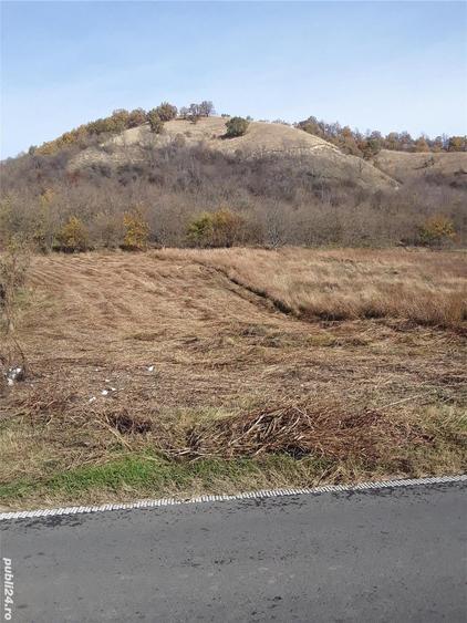 Teren de 2800 mp, în Divici