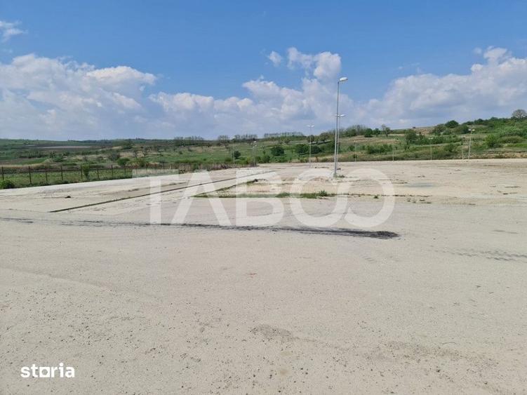 Teren de 40000 mp, în Teiu