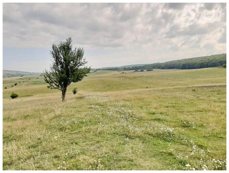 Teren agricol extravilan de 2500000 mp, în Șercaia