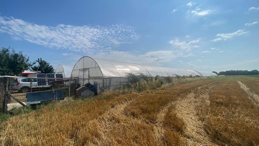 Teren agricol extravilan de 5000 mp, în Udeni-Zăvoi