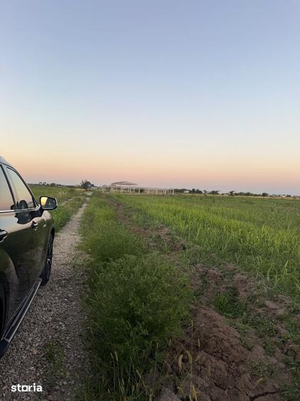 Teren de 1000 mp, în Odăi