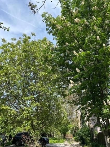 Casă individuală cu 5 camere cu Canalizare în Buciumeni