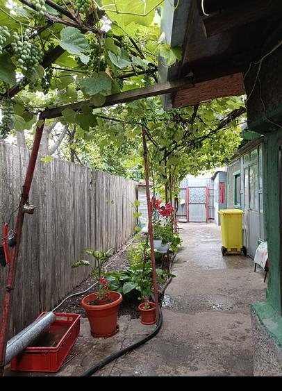 Casă cu 4 camere în Radu Negru
