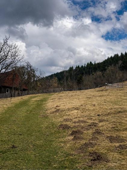 Teren de 6250 mp, în Vidra