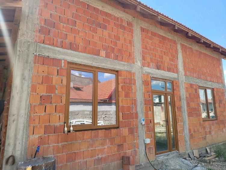 Casă cu Teren 790 Mp în Victor Vlad Delamarina