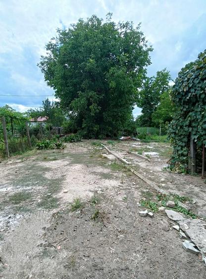 Casă cu 3 camere în Nord