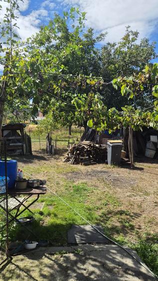 Casă cu 2 camere în Brănișca