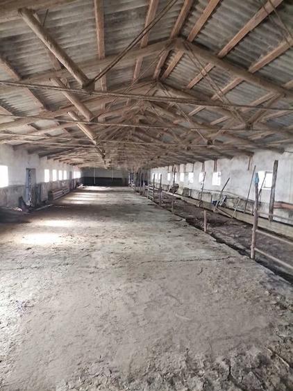 Spațiu comercial, de 2,500 mp, în Siliștea