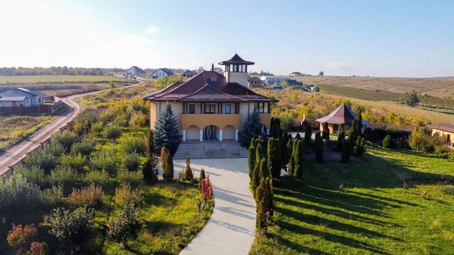 Casă individuală cu 10 camere cu Piscina în Vișani
