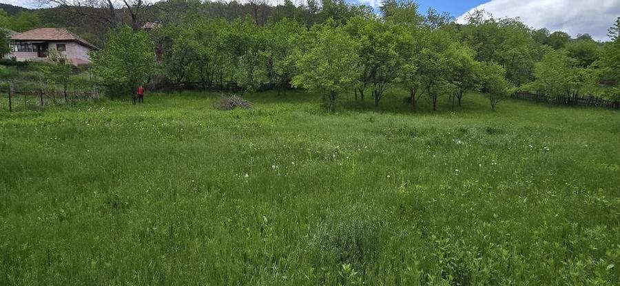 Teren de 1504 mp, în Gura Teghii
