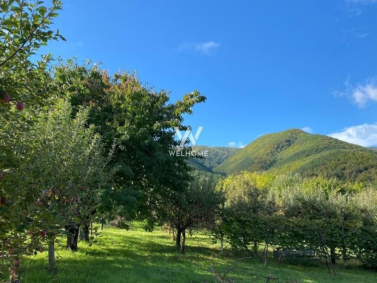 Teren agricol intravilan de 2100 mp, în Exterior Sud