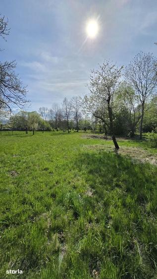 Teren de 1700 mp, în Recea