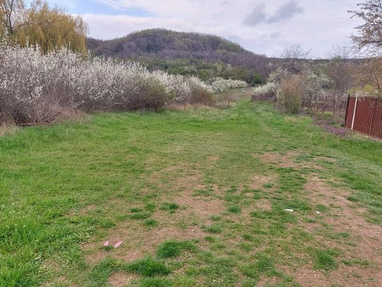 Teren Topoloveni - 3670 mp - langa padure, aproape de Centrul orasului - 1