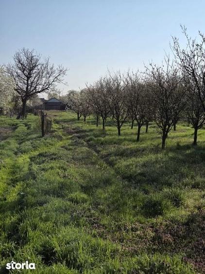 Tartasesti casa si teren 2.000 mp de vanzare - 3