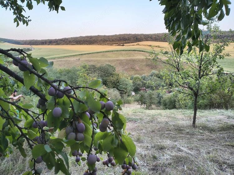 Teren de 2160 mp, în Șpring