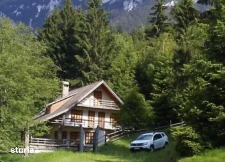 Vanzare Cabana in pitorerscul peisaj din Plaiul Foii, Zarnesti Brasov - 19