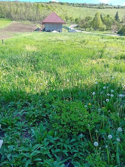 Teren de 1000 mp, în Căianu
