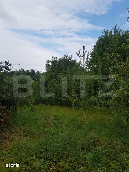 Teren de 2500 mp, în Bucium
