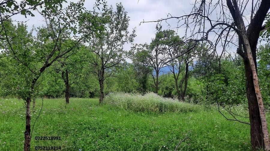 Teren în Central