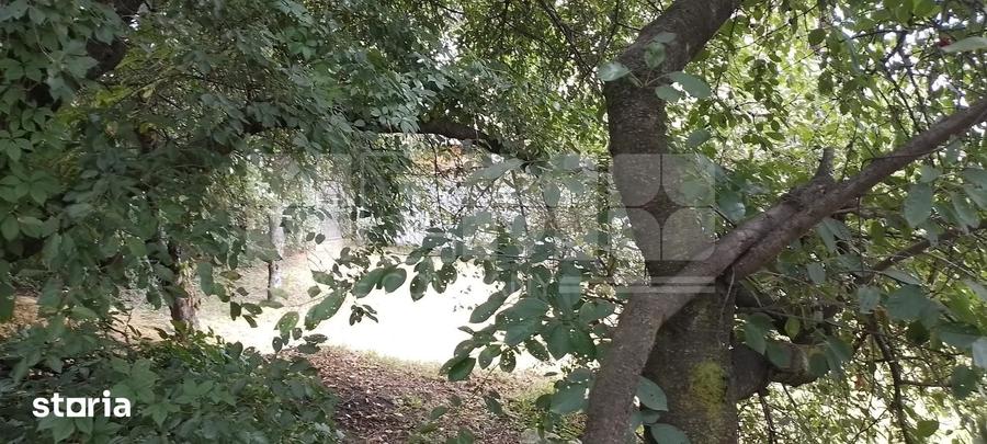 Teren de 844 mp, în Central
