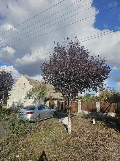Casă cu 2 camere cu Teren 2877 Mp în Tomnatic