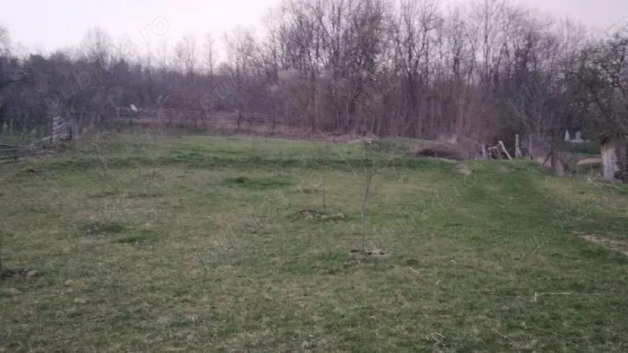 Teren de 1474 mp, în Sălciua